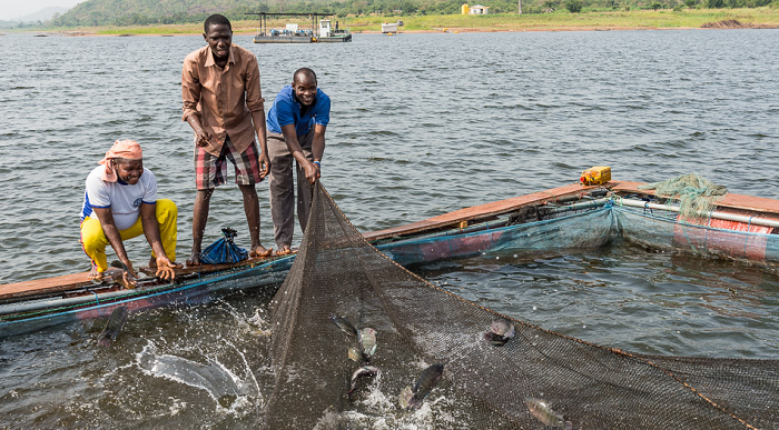 C’ttee to implement agreement on fish production inaugurated